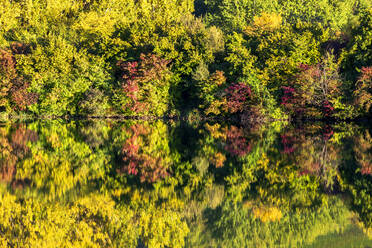 Herbstbäume, die sich im Badesee Erlabrunn spiegeln - NDF01537
