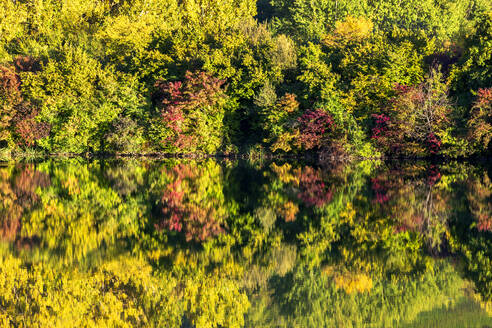 Herbstbäume, die sich im Badesee Erlabrunn spiegeln - NDF01537