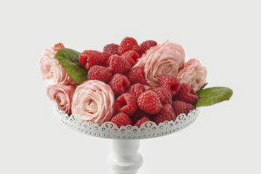 Frische Himbeeren mit rosa Rosen auf Sockel cakestand gegen weißen Hintergrund - YDF00046
