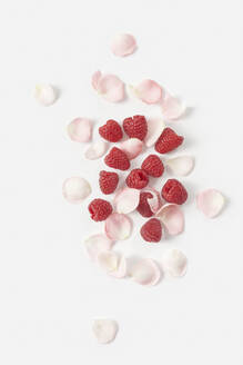 Fresh raspberries and rose petals against white background - YDF00054