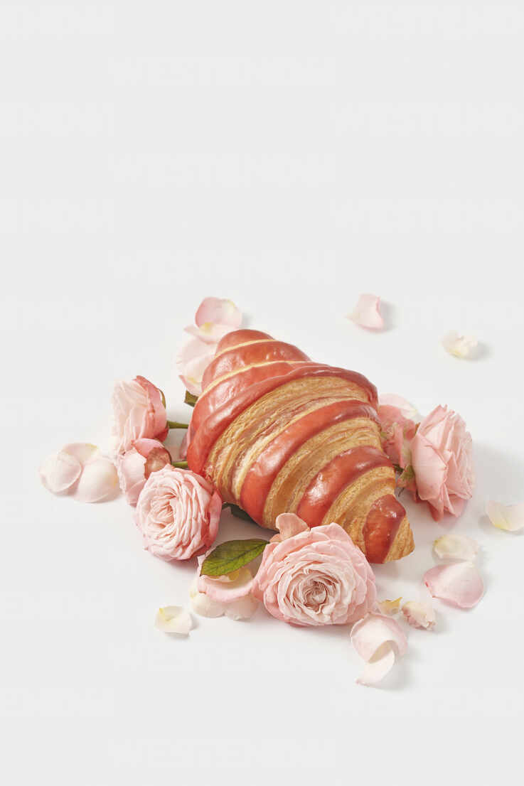 Royalty-Free photo: Pink rose petals