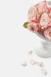 Fresh pink roses on pedestal cakestand against white background - YDF00060