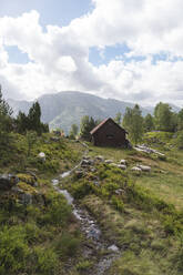 Bach, der an grasenden Schafen vorbeifließt, mit einer Berghütte im Hintergrund - JAQF01073