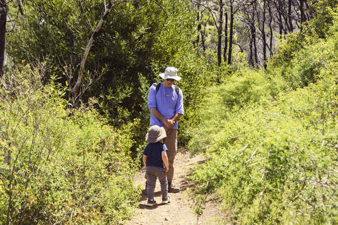Großvater mit Sonnenhut, der seinen Enkel auf einem Spazierweg im Wald beobachtet - ACTF00267