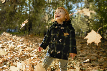 Boy holding maple leaf laughing in park - ANAF00198