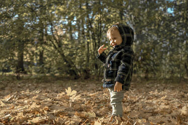 Boy wearing hooded jacket standing in park - ANAF00201