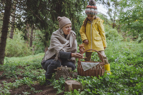 Mature woman with granddaughter picking up mushrooms in forest - YTF00251