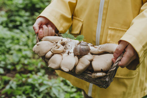 Girl holding basket full of mushrooms in forest - YTF00254