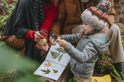 Grandparents and granddaughter looking at leaves through magnifying glass in forest - YTF00270