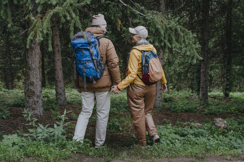 Paar, das sich an den Händen hält und zusammen im Wald spazieren geht - YTF00278