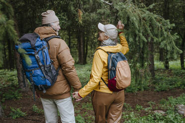 Älterer Mann hält die Hände einer Frau, die zusammen im Wald spazieren geht - YTF00279