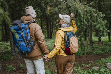 Senior man holding hands of woman walking together in forest - YTF00279