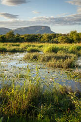 Landscape in Marataba, Marakele National Park, South Africa, Africa - RHPLF23339