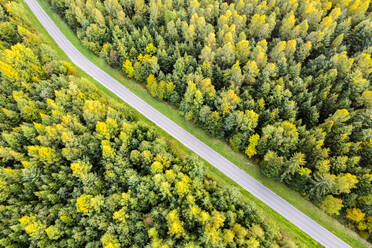Deutschland, Baden-Württemberg, Drohnenansicht einer Landstraße, die durch einen grünen Herbstwald im Remstal führt - STSF03546