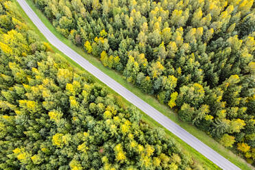 Germany, Baden-Wurttemberg, Drone view of country road cutting through green autumn forest in Rems Valley - STSF03546