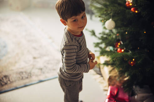 Ein Junge steht am Weihnachtsbaum und betrachtet die Lichter am Weihnachtsbaum. - JLPSF11139