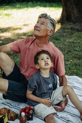 Großvater und Enkel blicken auf, während sie auf einer Picknick-Decke im Park sitzen - MASF32050