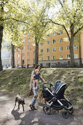 Mother with dogs carrying daughter while pushing baby stroller on footpath - MASF32332