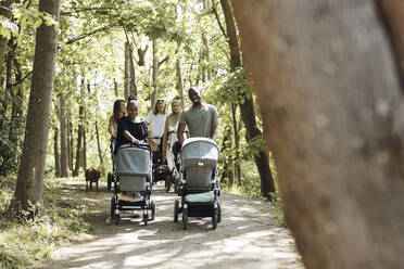 Parents talking to each other while walking with baby strollers on footpath at park - MASF32376