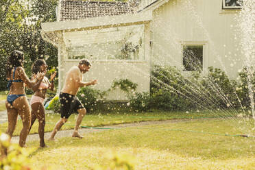 Family enjoying in water through sprinkler in back yard during vacation - MASF32400
