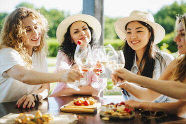 Glückliche Freunde stoßen am Tisch sitzend mit einem Glas Wein an - MDOF00027