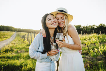 Glückliche Freunde halten ein Glas Wein und umarmen sich auf einem Weingut - MDOF00032