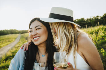 Glückliche Freunde genießen gemeinsam den Wein auf dem Weingut - MDOF00033