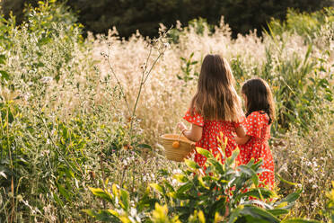 Back view of little girls wearing similar red dress carrying basket and walking on green meadow in summer day - ADSF39583
