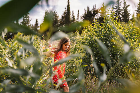Nettes kleines Mädchen in rotem Kleid trägt Korb und auf Rasen in sonnigen Tag pflücken Blumen - ADSF39587