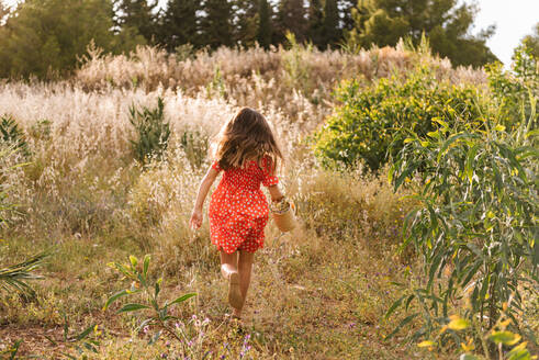Rückenansicht eines Mädchens im roten Kleid, das einen Korb trägt und auf dem Rasen in der Sonne läuft - ADSF39589