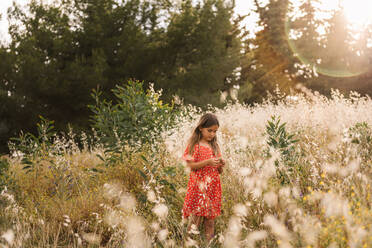 Nettes kleines Mädchen in rotem Kleid trägt Korb und auf Rasen in sonnigen Tag pflücken Blumen - ADSF39590