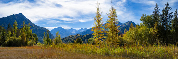 Deutschland, Bayern, Panoramablick auf Alpenmoor im Herbst - WGF01421