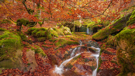 Langzeitbelichtung des sauberen Wasserfalls, der in einen Teich fällt, inmitten von moosbewachsenen Felsen und Bäumen mit leuchtend orangefarbenen Blättern an einem Herbsttag im Buchenwald von Argovejo - ADSF39708