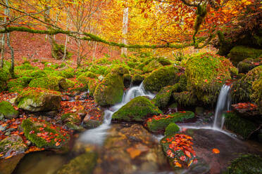 Wash day in the country backyard. - a Royalty Free Stock Photo