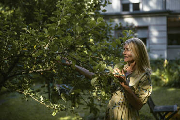 Lächelnde reife Frau berührt Blatt im Garten - RIBF01097