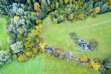 Deutschland, Baden-Württemberg, Drohnenaufnahme eines fließenden Baches am Rande des Schwäbisch-Fränkischen Waldes im Herbst - STSF03560