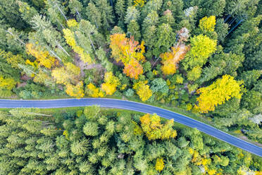 Deutschland, Baden-Württemberg, Drohnenaufnahme einer asphaltierten Straße durch den Schwäbisch-Fränkischen Wald im Herbst - STSF03561