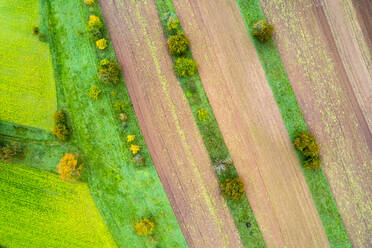 Germany, Baden-Wurttemberg, Drone view of autumn fields in Remstal - STSF03565