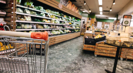 Leerer Einkaufswagen im Supermarkt. Lebensmittel in den Regalen eines Lebensmittelladens. - JLPSF11874