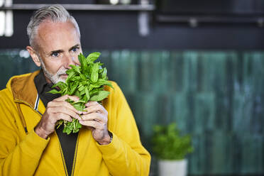 Mature man smelling basil leaves - FMKF07756