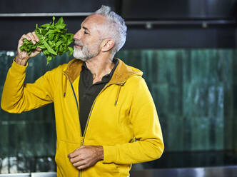 Mature man with beard smelling basil leaves - FMKF07757