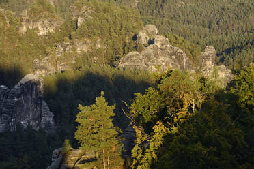 Deutschland, Sachsen, Blick vom Aussichtspunkt Bastei - RUEF03800