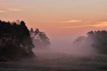 Ländliches Feld am nebligen Morgen - RUEF03808