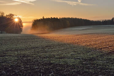 Rural field illuminated by rising sun - RUEF03809