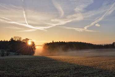 Rural field illuminated by rising sun - RUEF03810