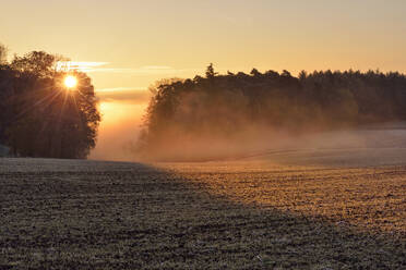 Ländliches Feld im Licht der aufgehenden Sonne - RUEF03811