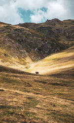 Pferdeherde auf der Weide an einem mit trockenem Gras bewachsenen Berghang im Val d Aran in den katalanischen Pyrenäen - ADSF39893