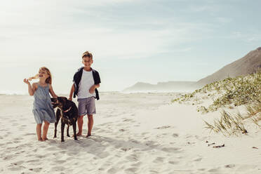 Boy and girl with their dog on the beach. Kids with their pet in the sea shore. - JLPSF12499