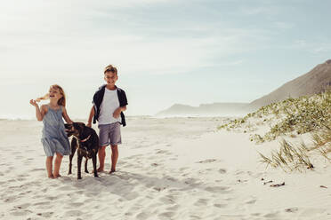 Junge und Mädchen mit ihrem Hund am Strand. Kinder mit ihrem Haustier am Meeresufer. - JLPSF12499