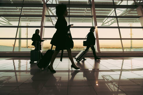Silhouette of people with luggage walking at airport terminal. Travelers walking in front of large window at airport terminal. - JLPSF12697